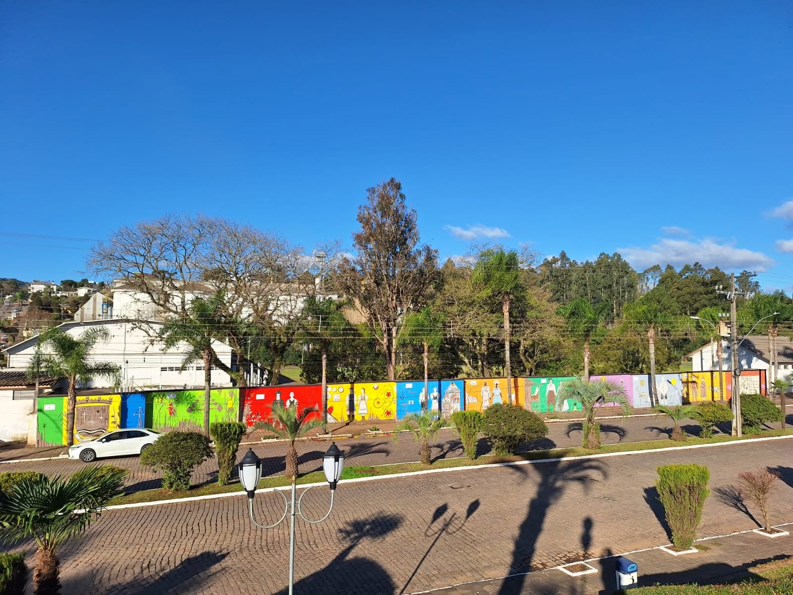 Foto de Muro Sementes e Raízes