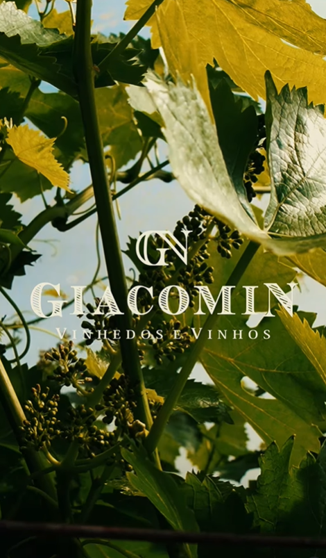 Vinícola Giacomin