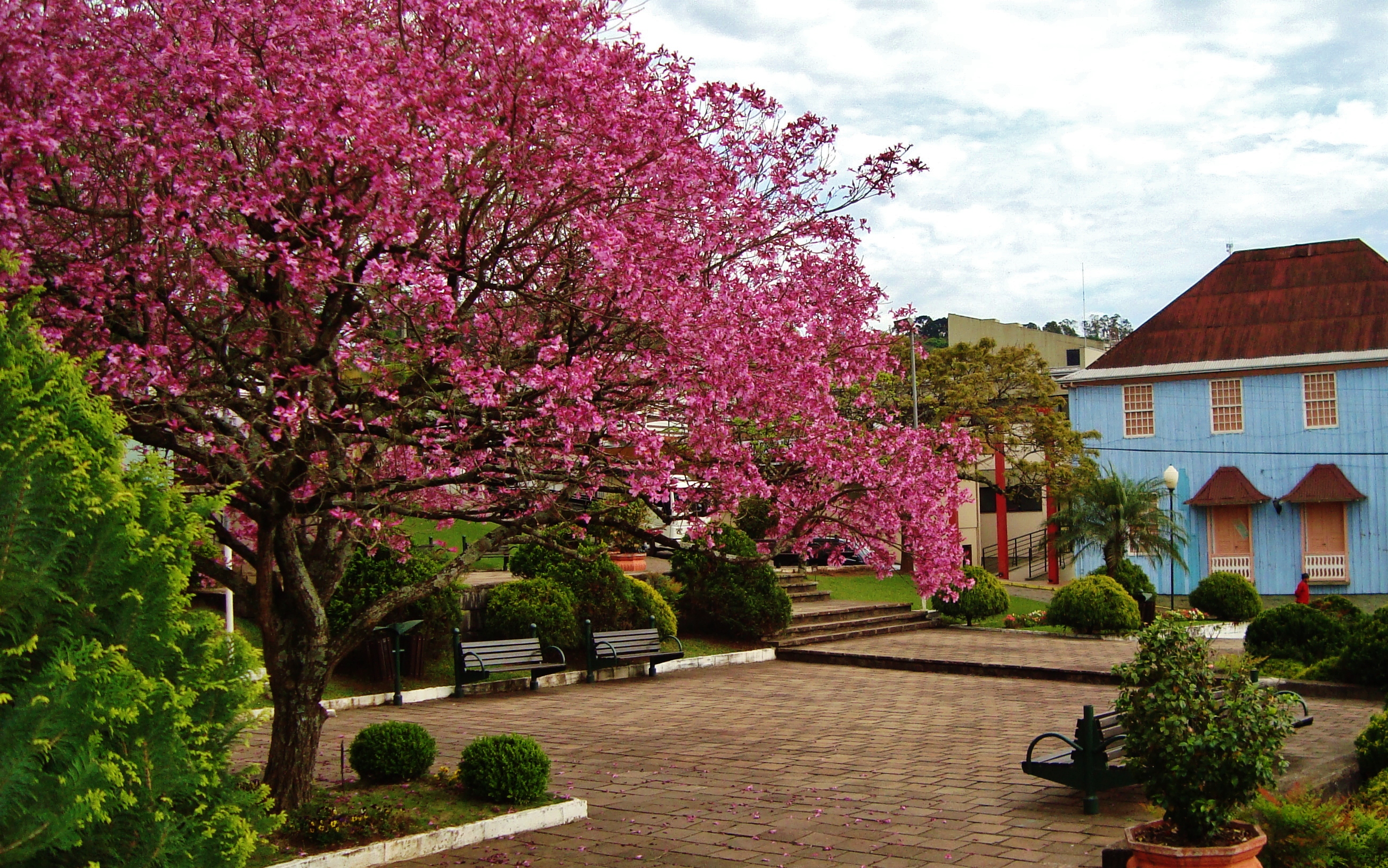 Foto de Casarão Municipal
