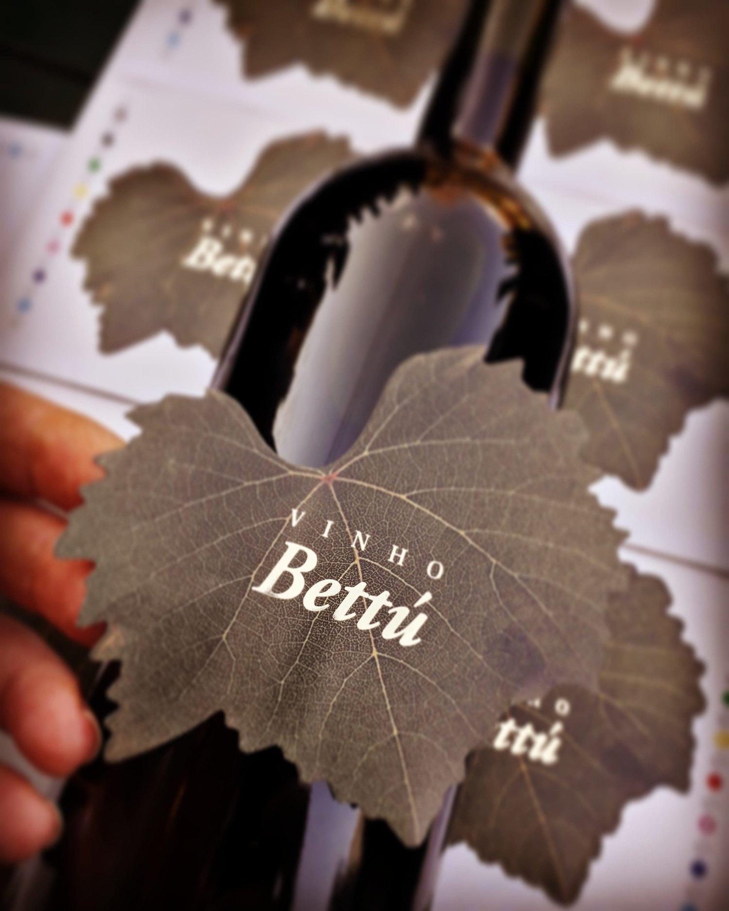 Vinhos Bettú – Turismo Enológico de Vilmar Bettú