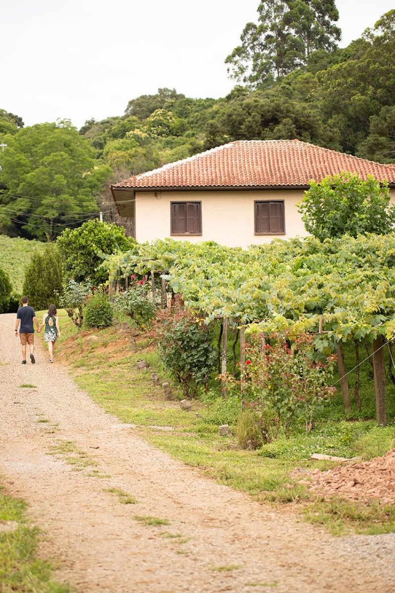 Vinícola Scortese