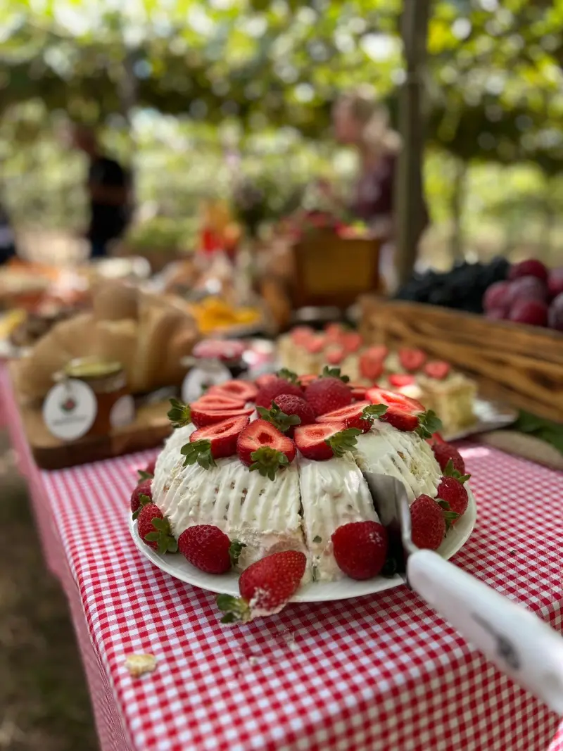 Foto de Sítio Morango Doce
