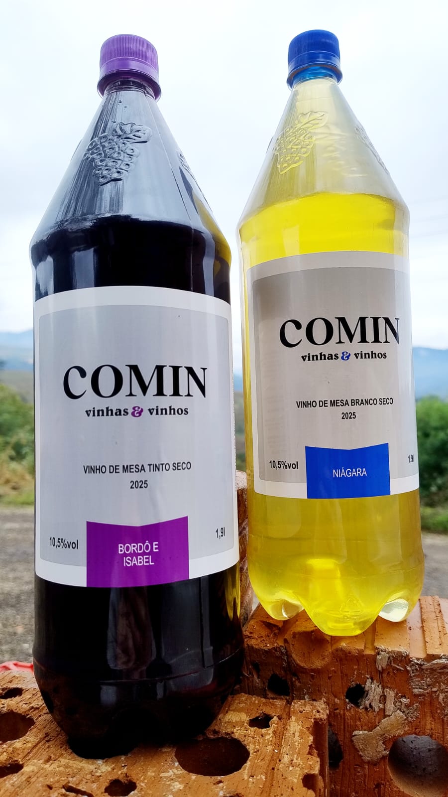 COMIN VINHAS E VINHOS