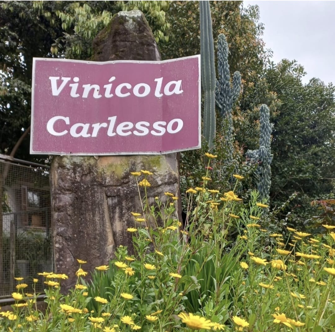 Vinícola Carlesso