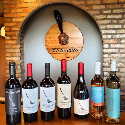 Vinhos Avvocato