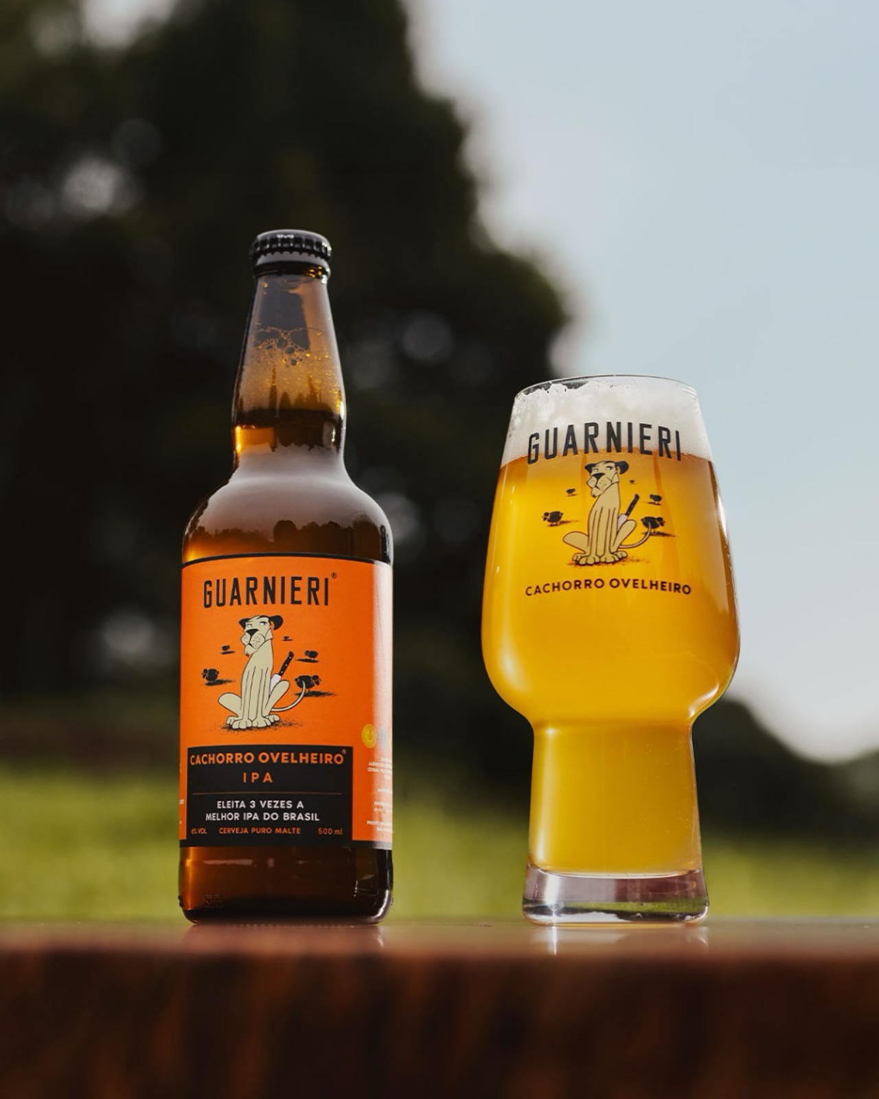 Cervejaria Guarnieri