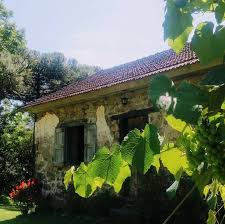 Casas Bonnet