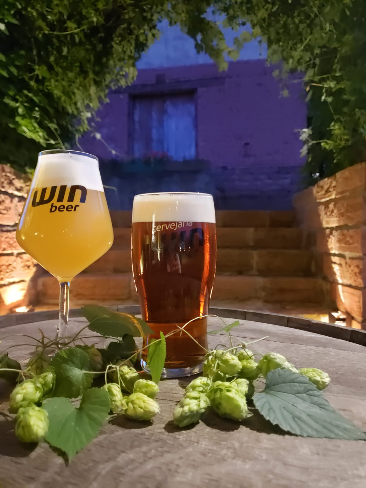 Cervejaria Win Beer
