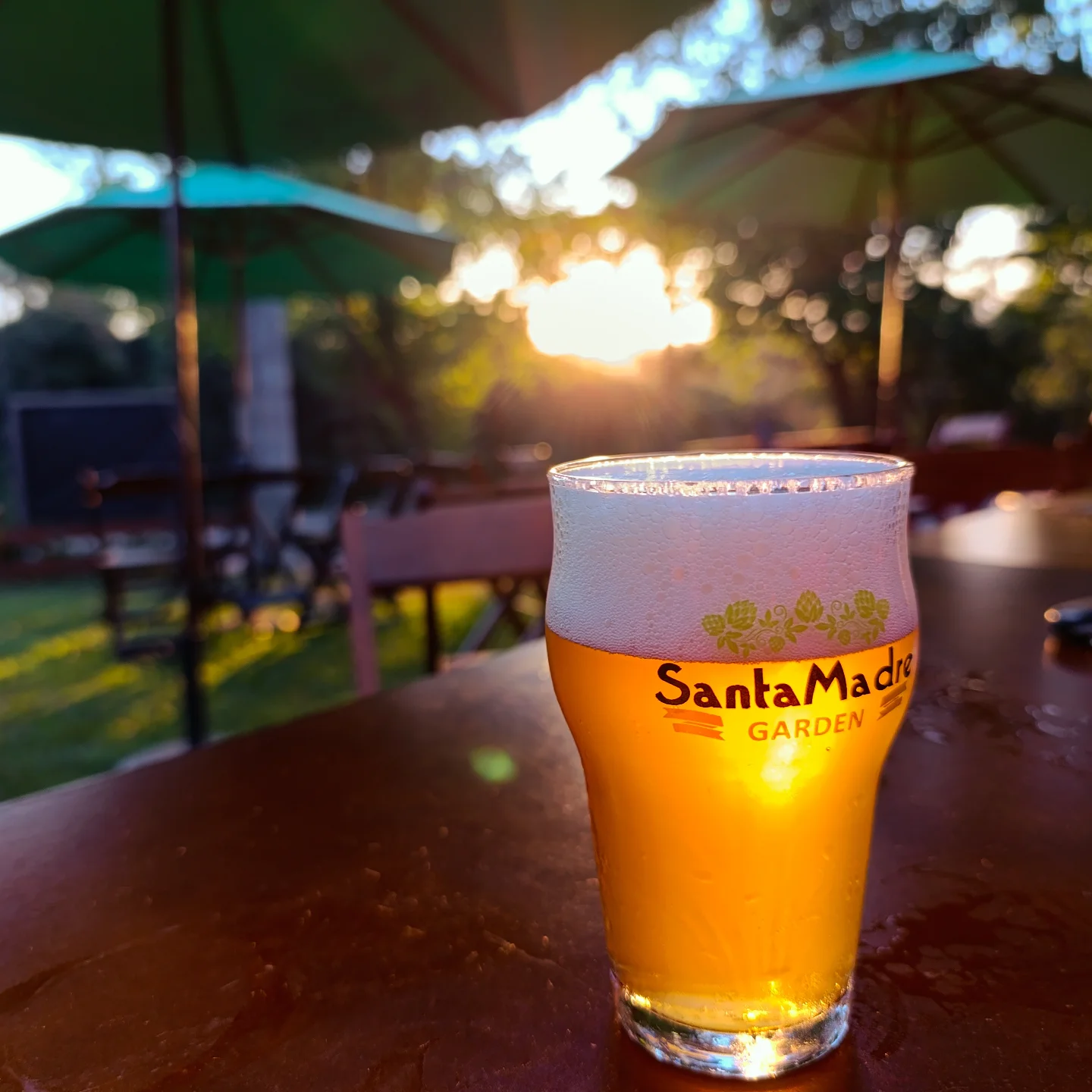 Santa Madre Garden