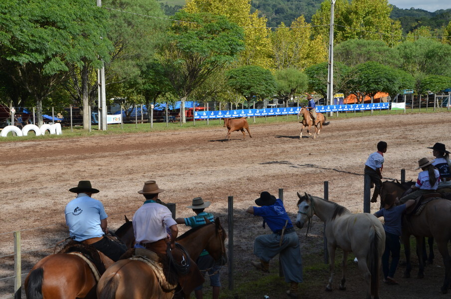 Rodeio Crioulo Estadual de Nova Bassano