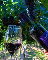 Vinhos Pasquali