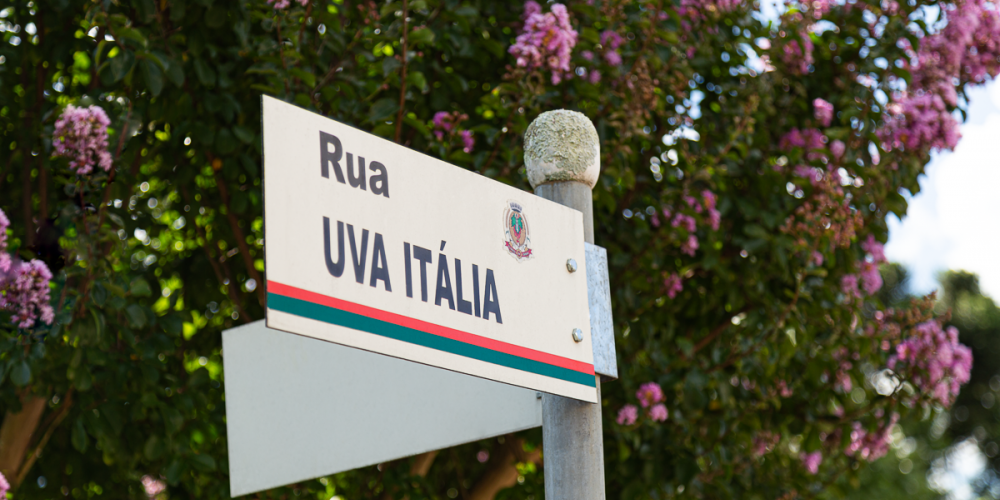 Ruas com nomes de Uvas