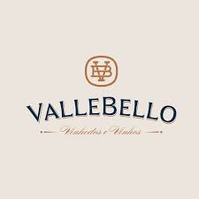 Logo Vallebello